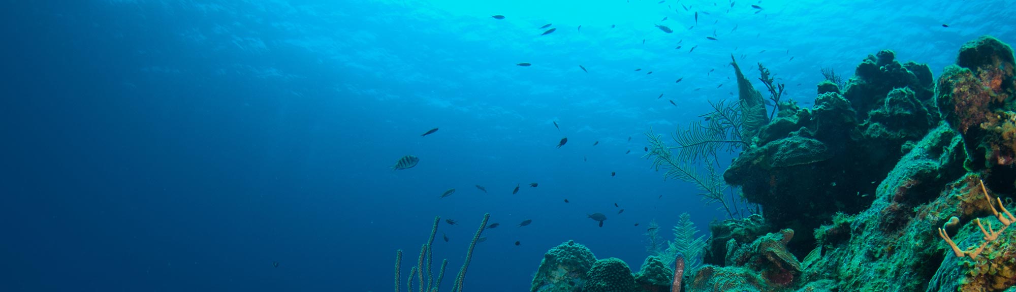 Clearance products - Geospectrum, Halifax NS