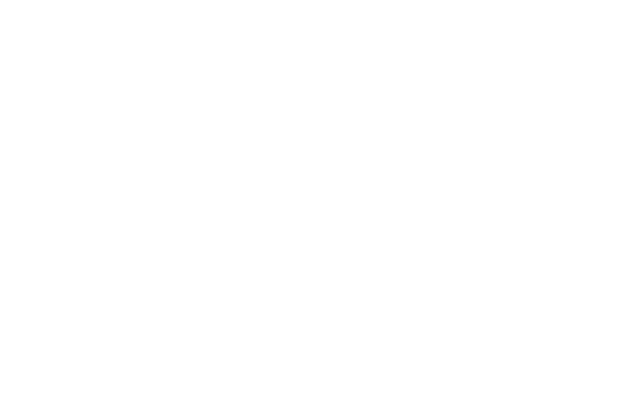 GeoSpectrum Technologies Inc